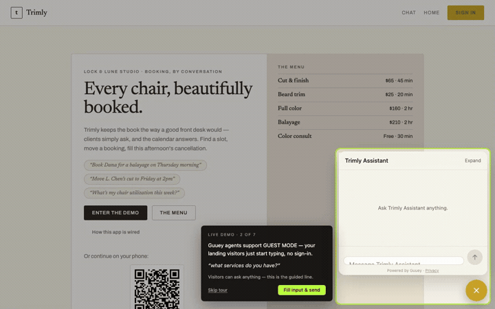 The tour’s second card over the landing page, explaining guest mode, and the empty assistant panel outlined bottom right